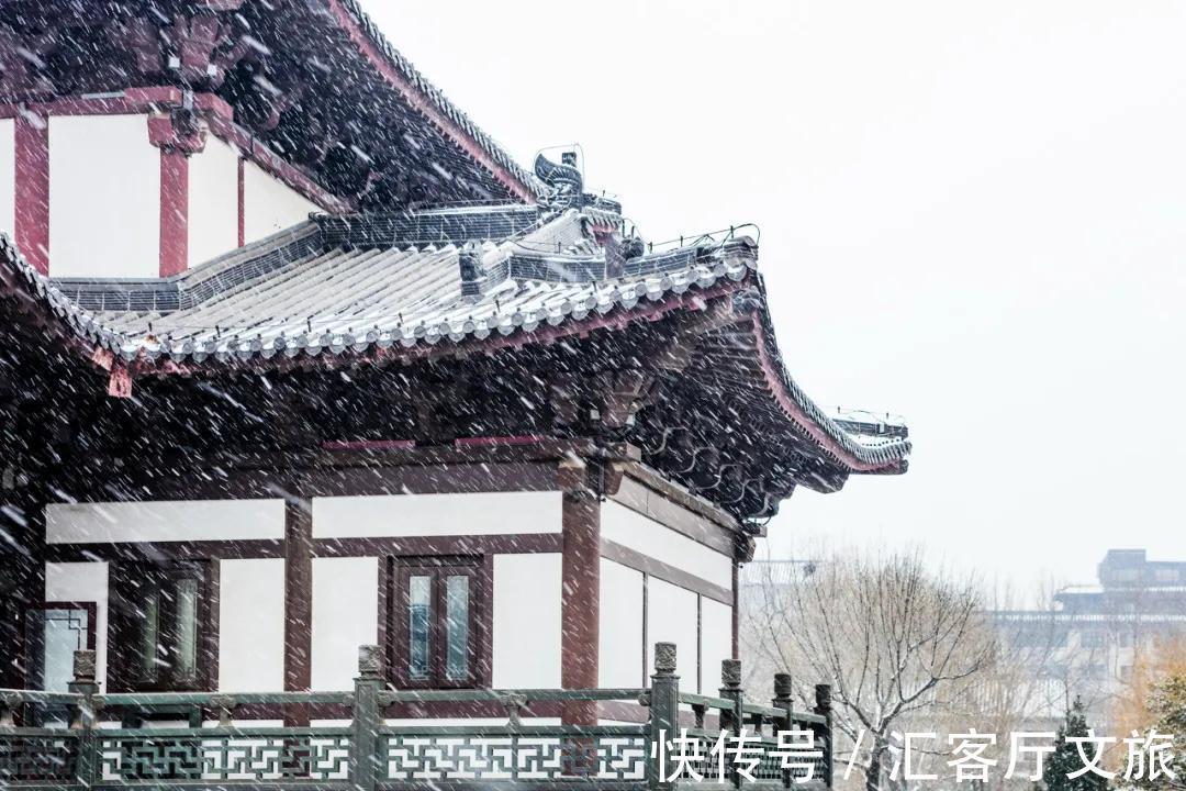 老舍|一下雪，济南就美成了济南府！