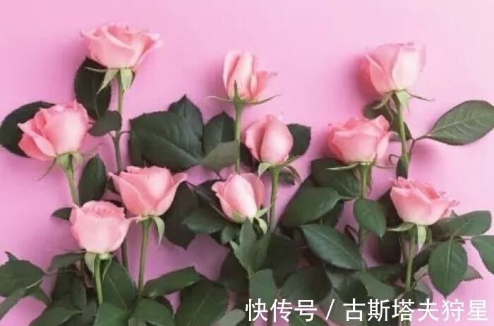 相配|财运福运一触即发,10号以后4大生肖福缘深厚,财缘高涨