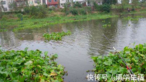 套路|小暑过后钓鱼，5钓5不钓，常用这些老套路，上鱼更多