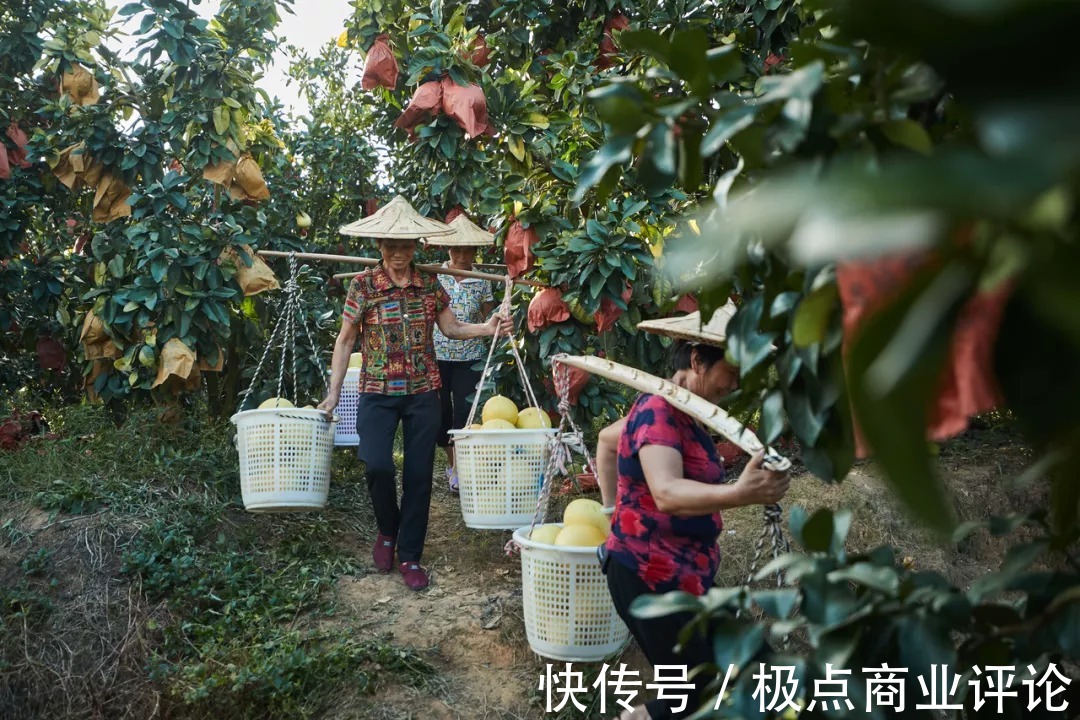 社会价值|抖音电商这一年，释放了怎样的社会价值