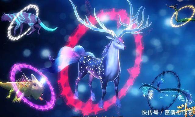 斗罗大陆:我的武魂是“武灵邪龙”,快来测试一下你的专属武魂?