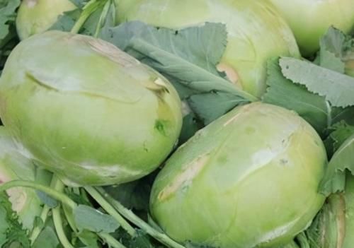 清肠排毒|女性不想大肚子鼓鼓,秋天多吃3物,清肠排毒,润肠通便,试试看