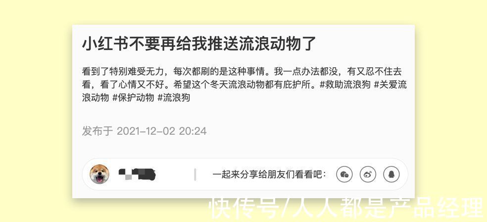 流浪动物|你在互联网平台的「喜欢」与「不喜欢」正在悄悄影响整个社会