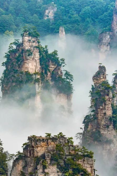 一场春雨，将张家界武陵源泼成了一幅幅山水画