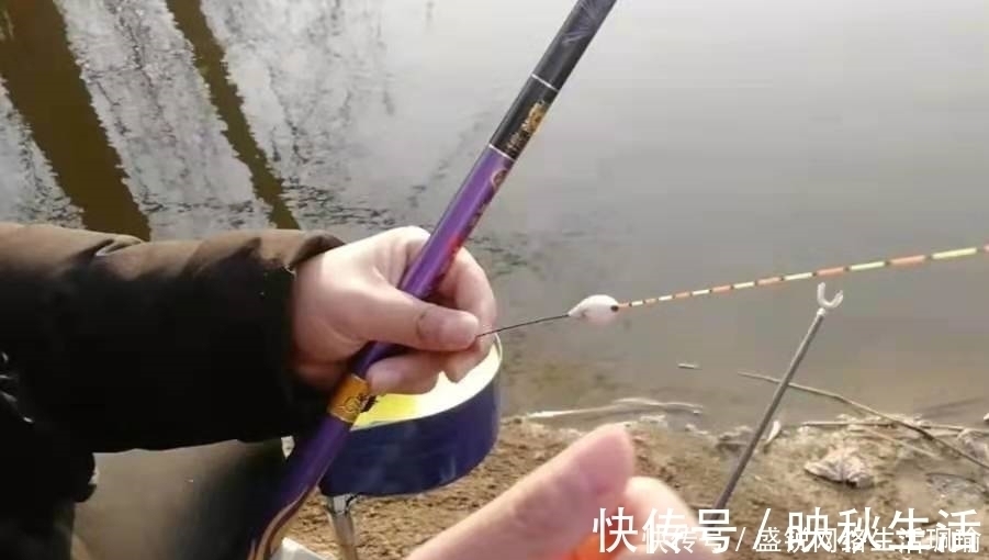 鲫鱼|千错万错就不该收竿,鲫鱼起浮后,只需调整一番,爆护都没问题