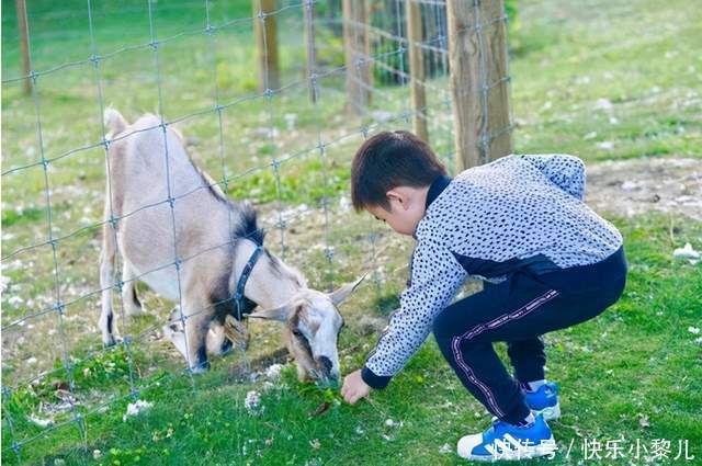 有何|独生家庭与二胎家庭有何不同？过来人直言：不出十年差距明显