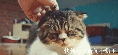 9条打发无聊时间的趣味冷知识,分享给小伙伴们一起学习吧