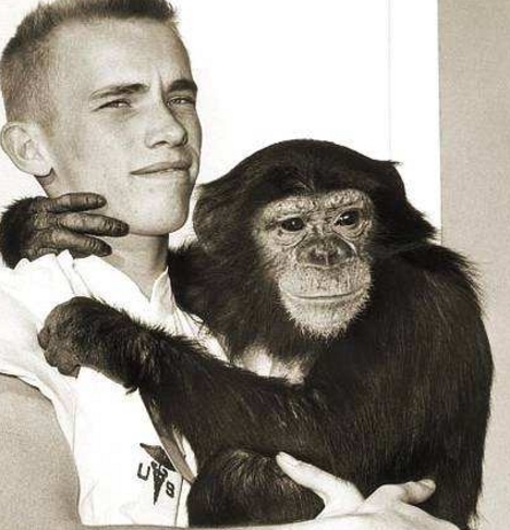 外太空 50年前被送去太空的猩猩,回地面后怎么样了?现状太出乎意料