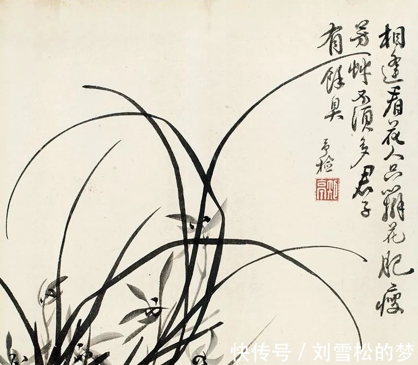 姿态|清代蒋予检笔下的兰花:纵横偃仰,别有姿态