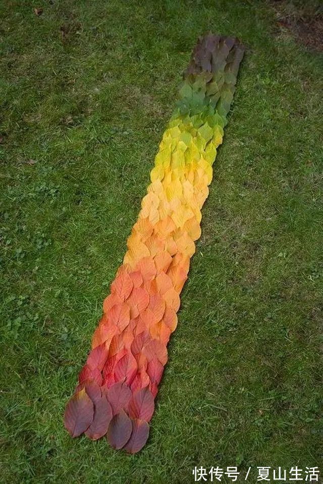 照片&这些照片巧妙得非常艺术,处女座看了很过瘾,连蛇也有“强迫症”