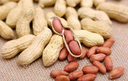 滋阴补血|2种养生好物一起“煮”，健脾益胃，滋阴补血，想不长寿都难