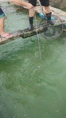 |搞笑GIF:那天我看到这小姐姐了,结果我上班迟到三个小时