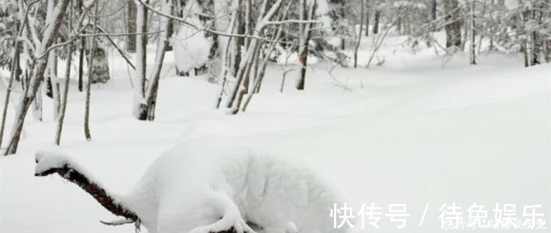 富贵花|纳兰性德最凄美的一首词，不是人间富贵花，更是感动了无数读者！