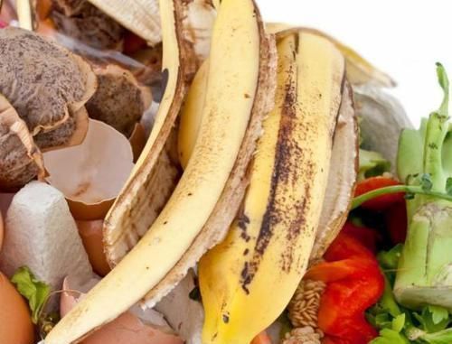 君子兰、蟹爪兰叶片打蔫，擦一擦，20天长油绿叶