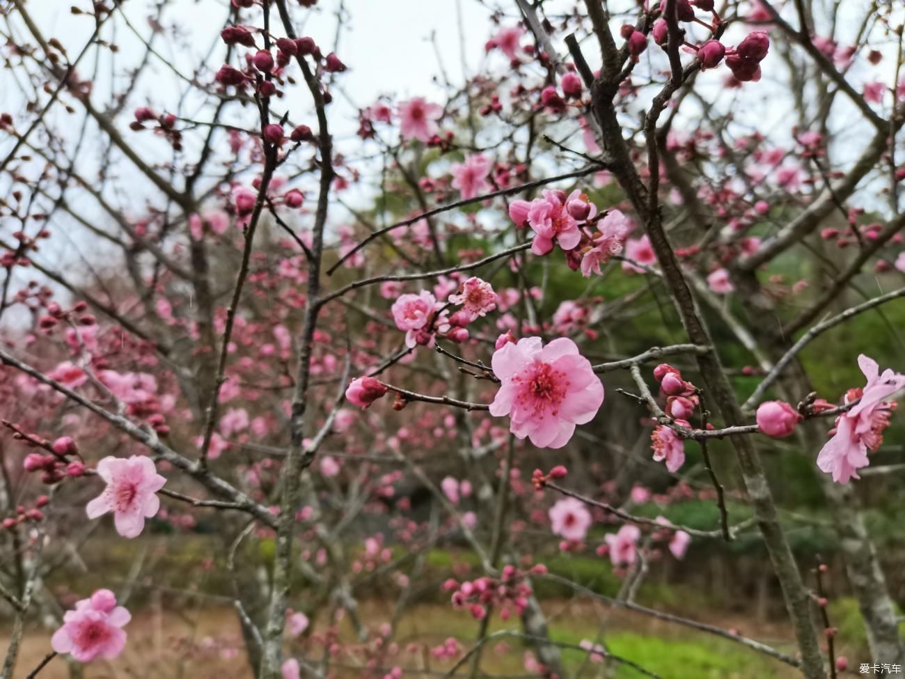 栈道|牛年春节不停歇