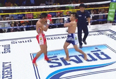 |搞笑GIF:别装了 我知道你就是故意的