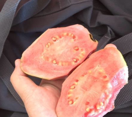 黄瓜|公认最“燃脂”的四种水果，饭后吃两口，体重“乖乖”往下掉