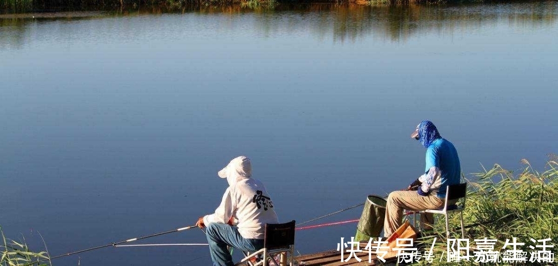 轻巧|冬钓板鲫，手竿不太好用？不妨换上海竿串钩试试，用了一次就过瘾