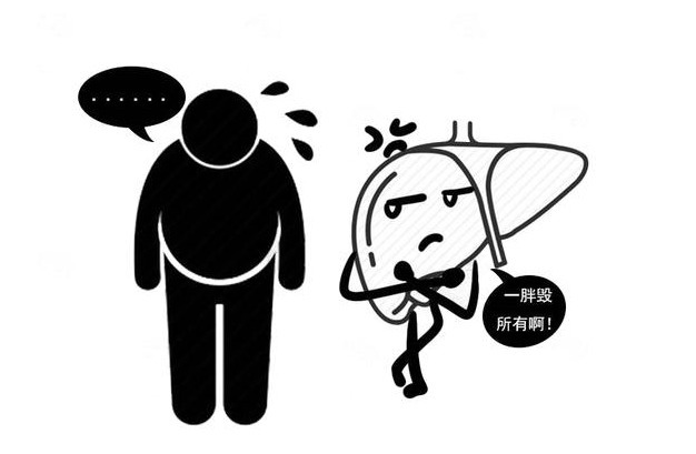 代谢功能|怎么就得了脂肪肝?医生劝解:5个因素早避开,肝脏不会长胖