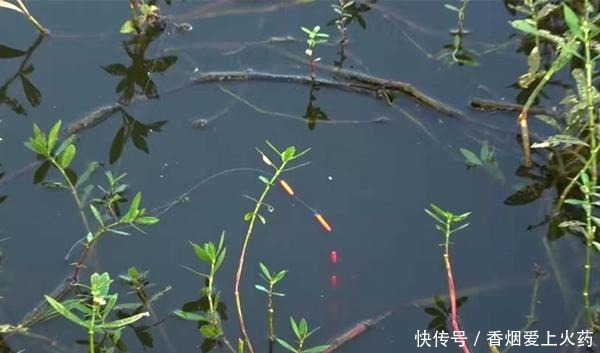 冬季钓鲫鱼，这些漂相是有效漂相，出现赶紧提竿，注意抓小放大