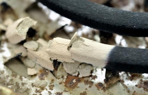 4样“天然杀虫剂”，家家户户都有，春夏拿来养花植物少遭殃