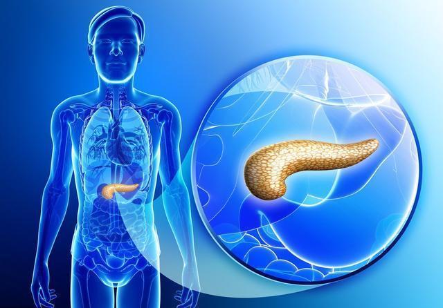 空腹血糖|2型糖尿病能不能逆转,为什么有些人,不服药也能控制血糖