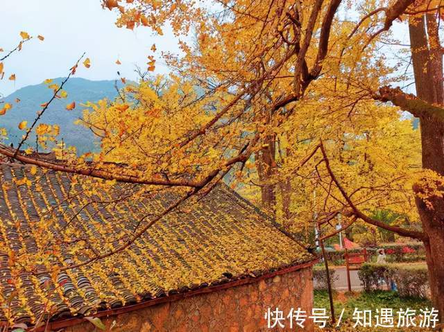 婺源|12月必去的7个古镇，每一个都美到不想离开，闲了就去小住几日吧