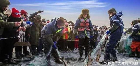 湖中|“查干湖冬捕”历史悠久,湖中鱼却越捕越多?这些人行为太可恨