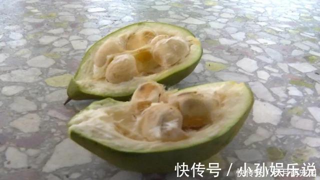 果子|养了十年的发财树，高约5米，年年都结发发财果，出上万都不卖