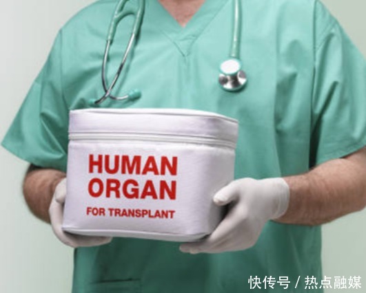 肝细胞|出生11天做手术!3岁男孩患多种缺陷,看清父母一幕令人动容