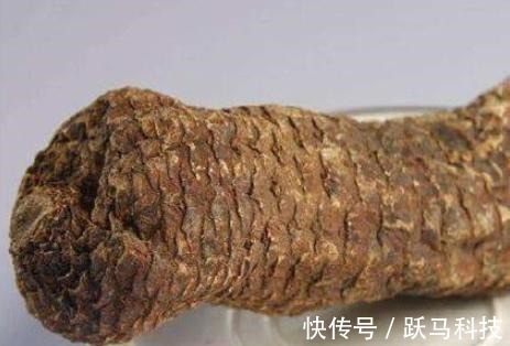 男人|男人过了40以后,就算再穷,也要吃这5种宝贝,越吃越有男人味!