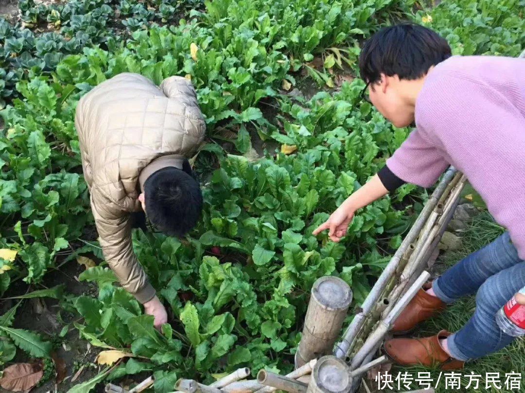 原生态|安吉竹林深处精品民宿，拥泉而居枕山而眠享山野静谧生活丨息心庐