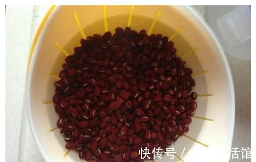 薏米|找到天然“祛湿汤”,隔几天喝一次,祛湿气排出毒素,腰肢纤细