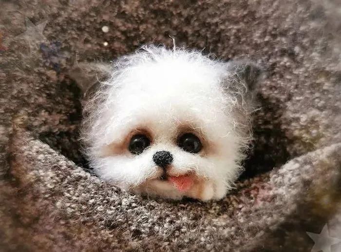 艺术家@逼真到极致的毛毡作品,毛茸茸的小动物,把心都融化了