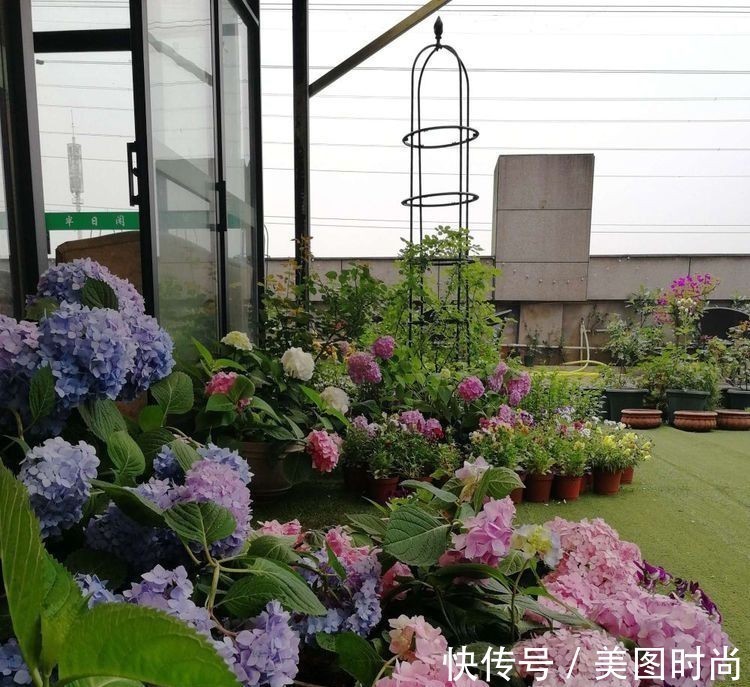 菜地|2年前买了个300㎡的露台，打造成屋顶花园，过上了田园生活