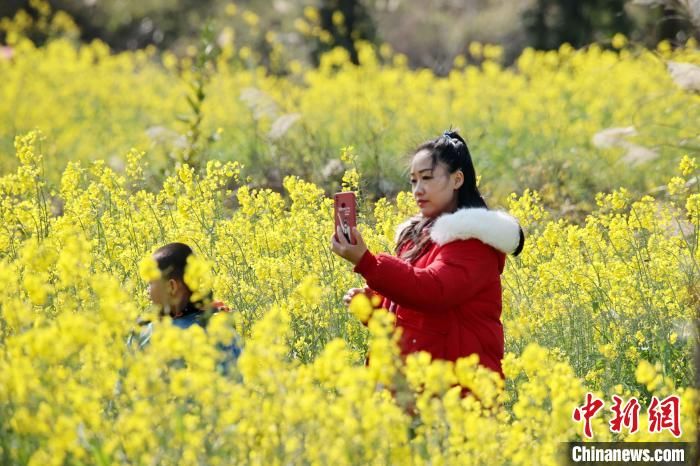 民众|广西山区万亩油菜花盛开迎客来