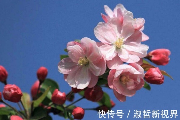 老婆|谁家老婆生日在农历这5天,三生有幸,你把财神带回家了!