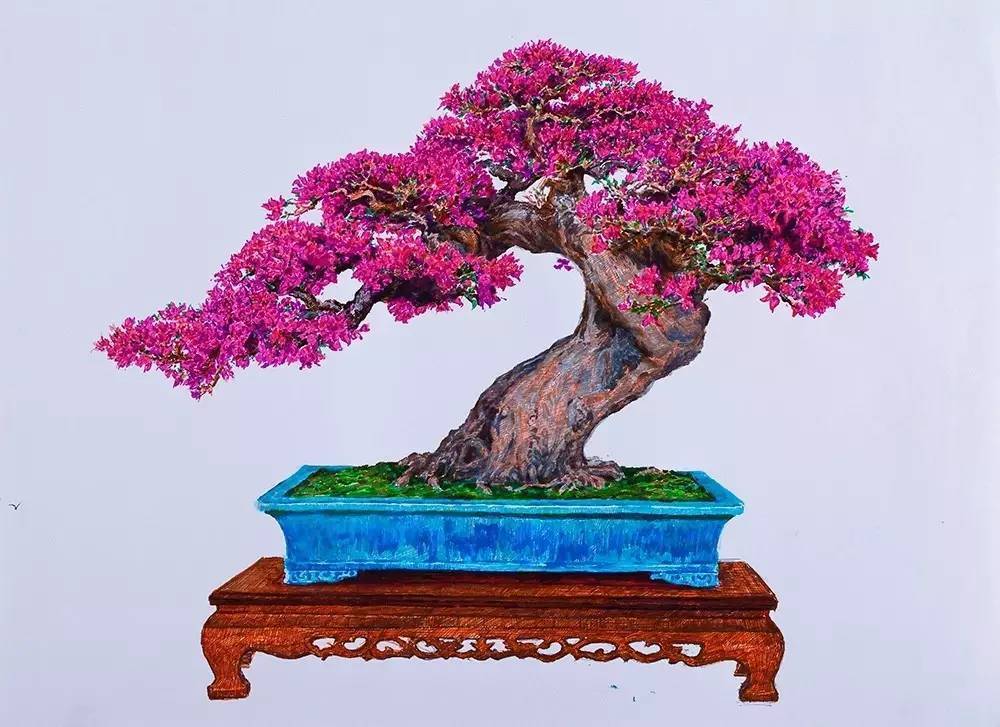 这“两种”花,虐一虐之后,不仅不会枯萎,反而越开越旺!