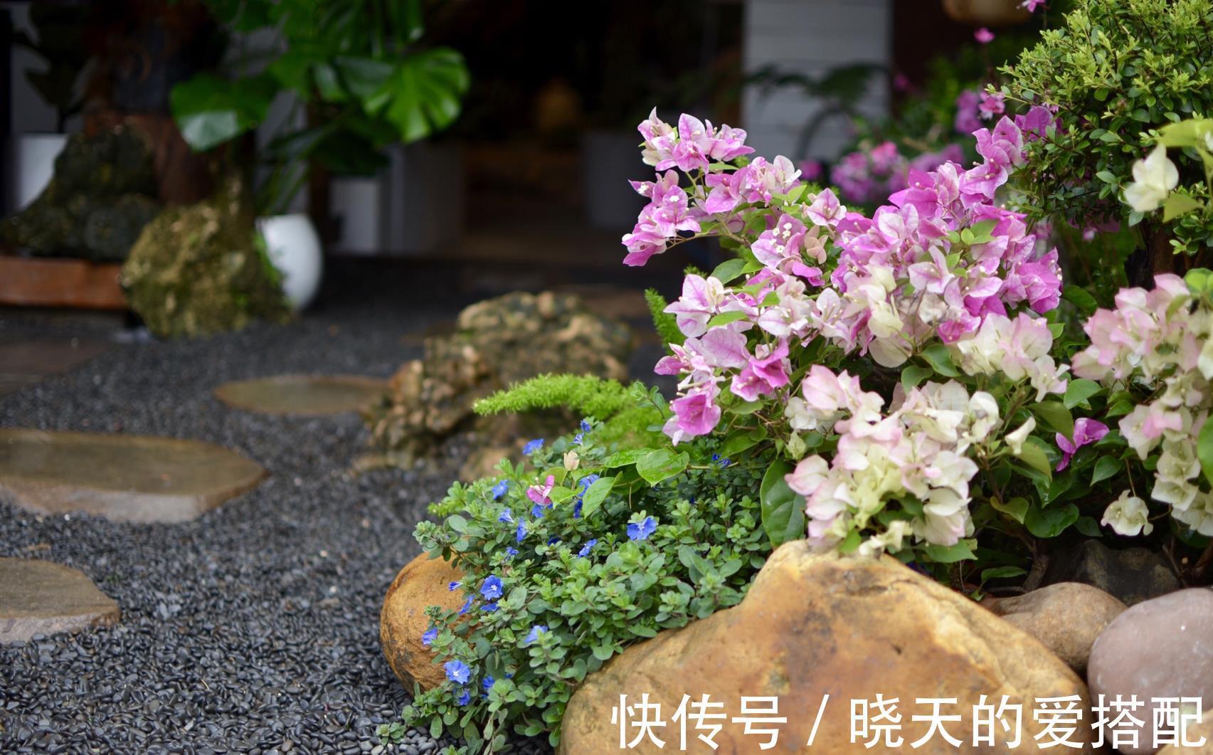 治愈系|小空间庭院花园,正确的绿植搭配技巧,让小院落变身治愈系小花园