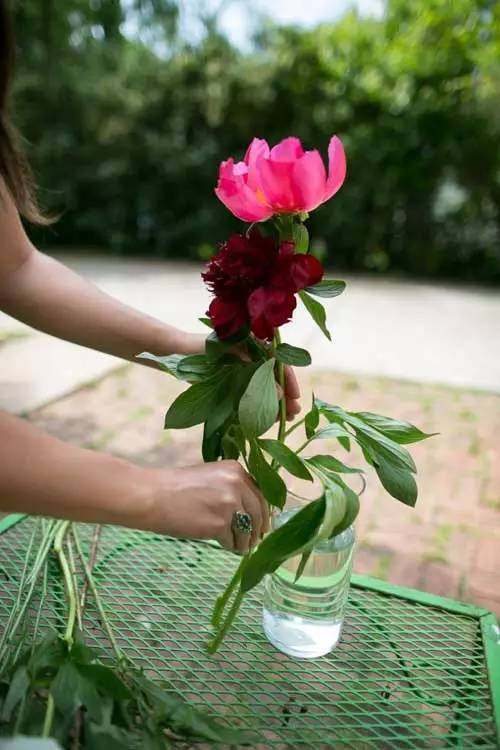 鲜花插几天就枯萎了不用花一分钱,10个小窍门让它开半个月