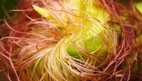 湿气重|湿气重的人的注意,3种食物可多吃,3种食物再喜欢还是尽量少吃