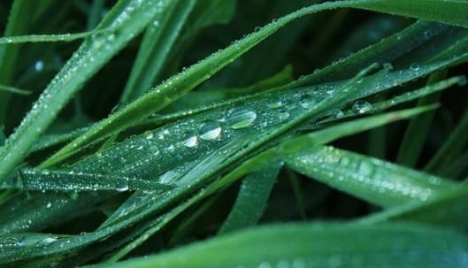 宋词之前最美的一首《蝶恋花》,意境美,韵味足,是词坛千古名篇