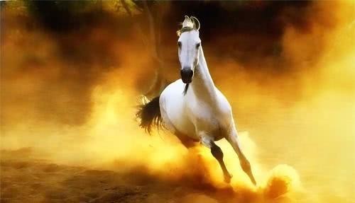 三国|三国时期战马排行榜,名动天下的赤兔仅排第二,第一经历可堪传奇