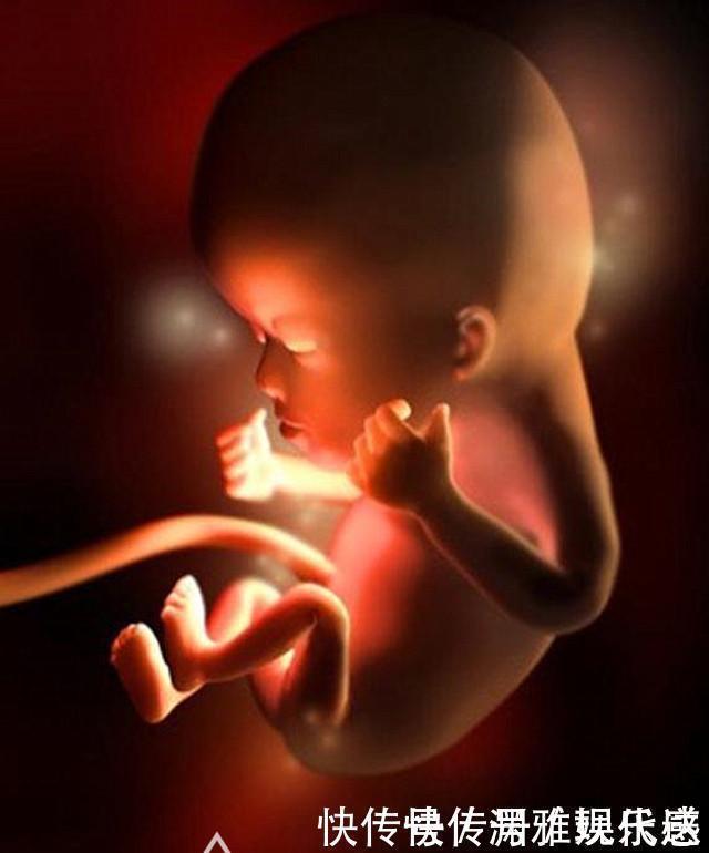 过程|10月胎儿形成全过程,8张图带你了解真相,感受生命的奇迹
