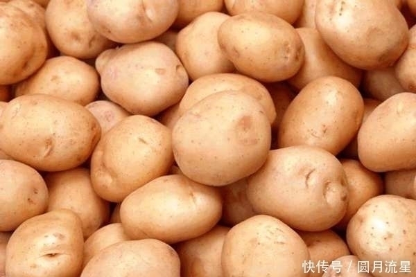土豆|老中医提醒：土豆不能和此物一起吃，知道的人不多，你们吃了吗？