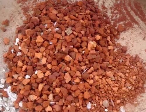 兰花植料不用买,2种软硬材料掺一起,疏松透气,兰株长得旺