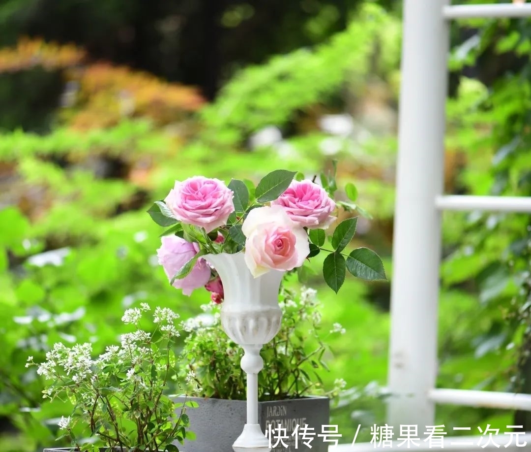 王俐|服装设计师兼花园设计师,裁剪最美的花园时光