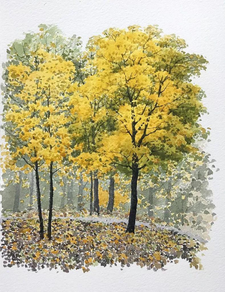  树叶|点、点、点，水彩画树就是这么简单！