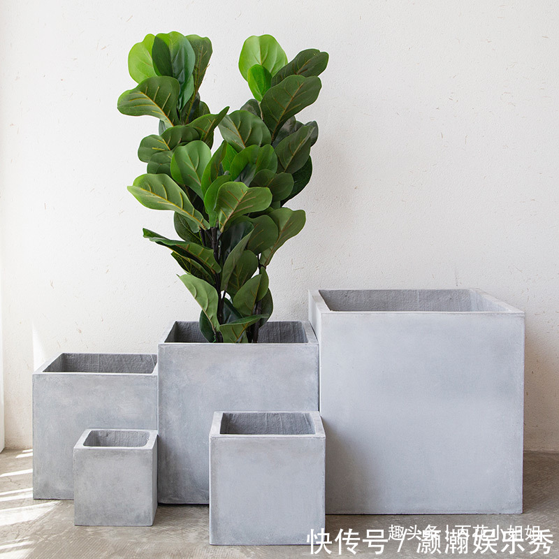 6种花盆,不适合养花,难怪长势不好,扔了吧