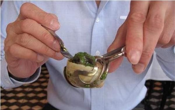 吃法式蜗牛,记住别向服务员要牙签,这种吃法是会被笑话的